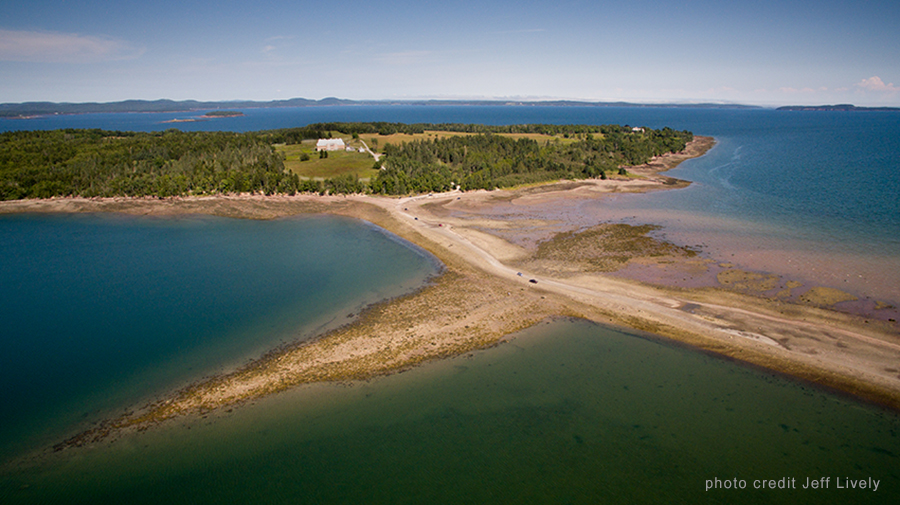 Ministers Island / #CanadaDo / Best birdwatching spots in New Brunswick 