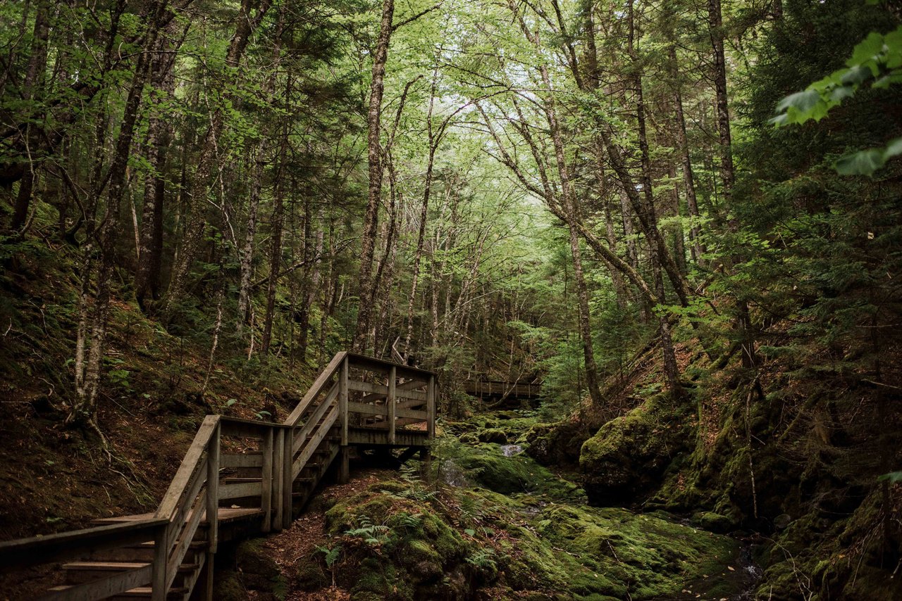 File:Fundy National Park of Canada 3.jpg - Wikimedia Commons