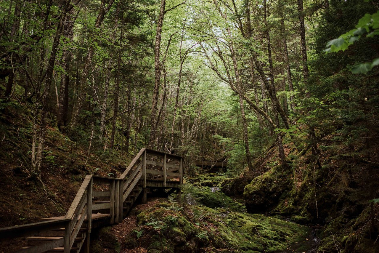 Fundy Coastal Drive / #ExploreNB / Tourism New Brunswick