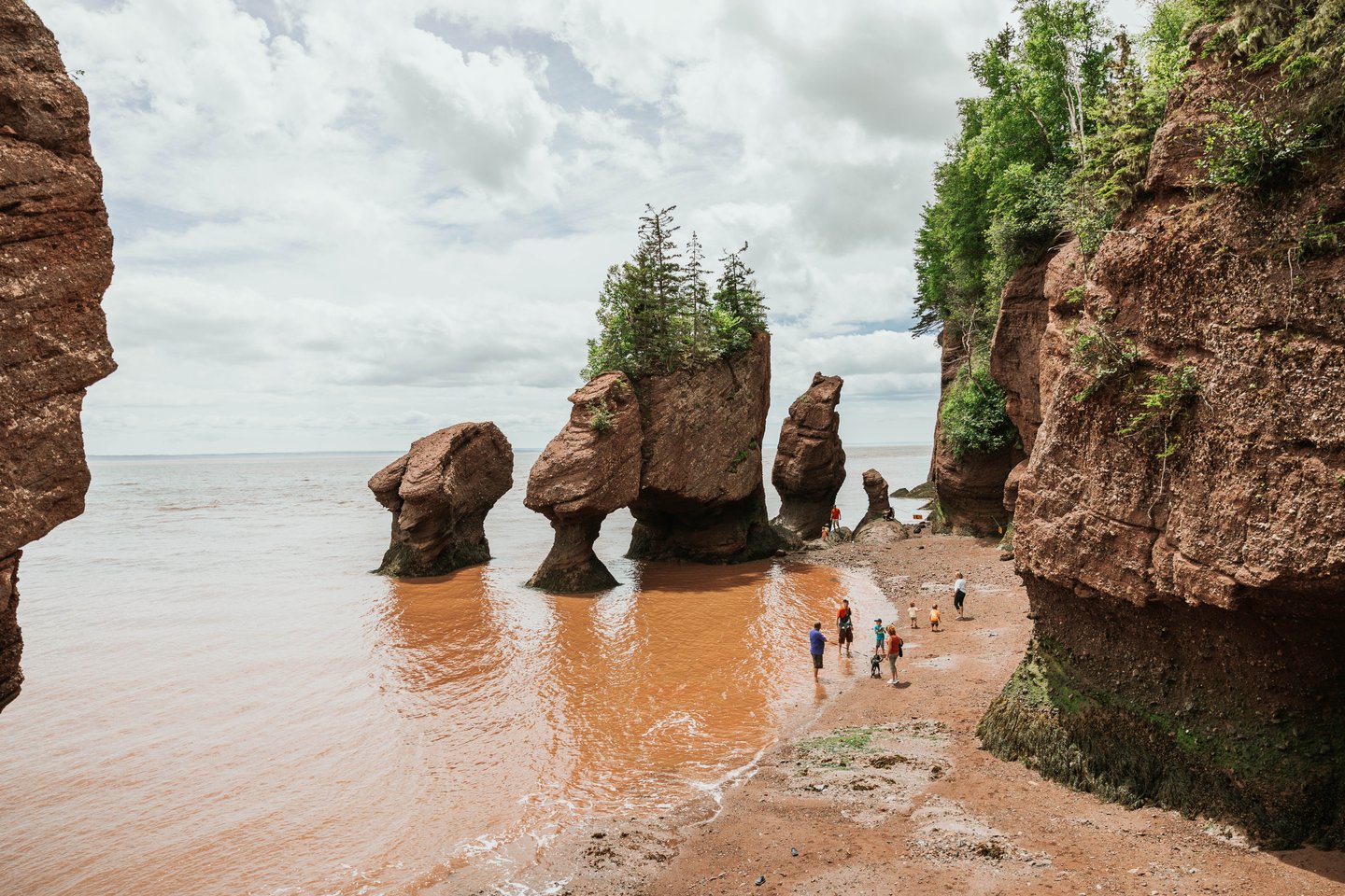 File:Bay of Fundy rock formations.jpg - Wikipedia