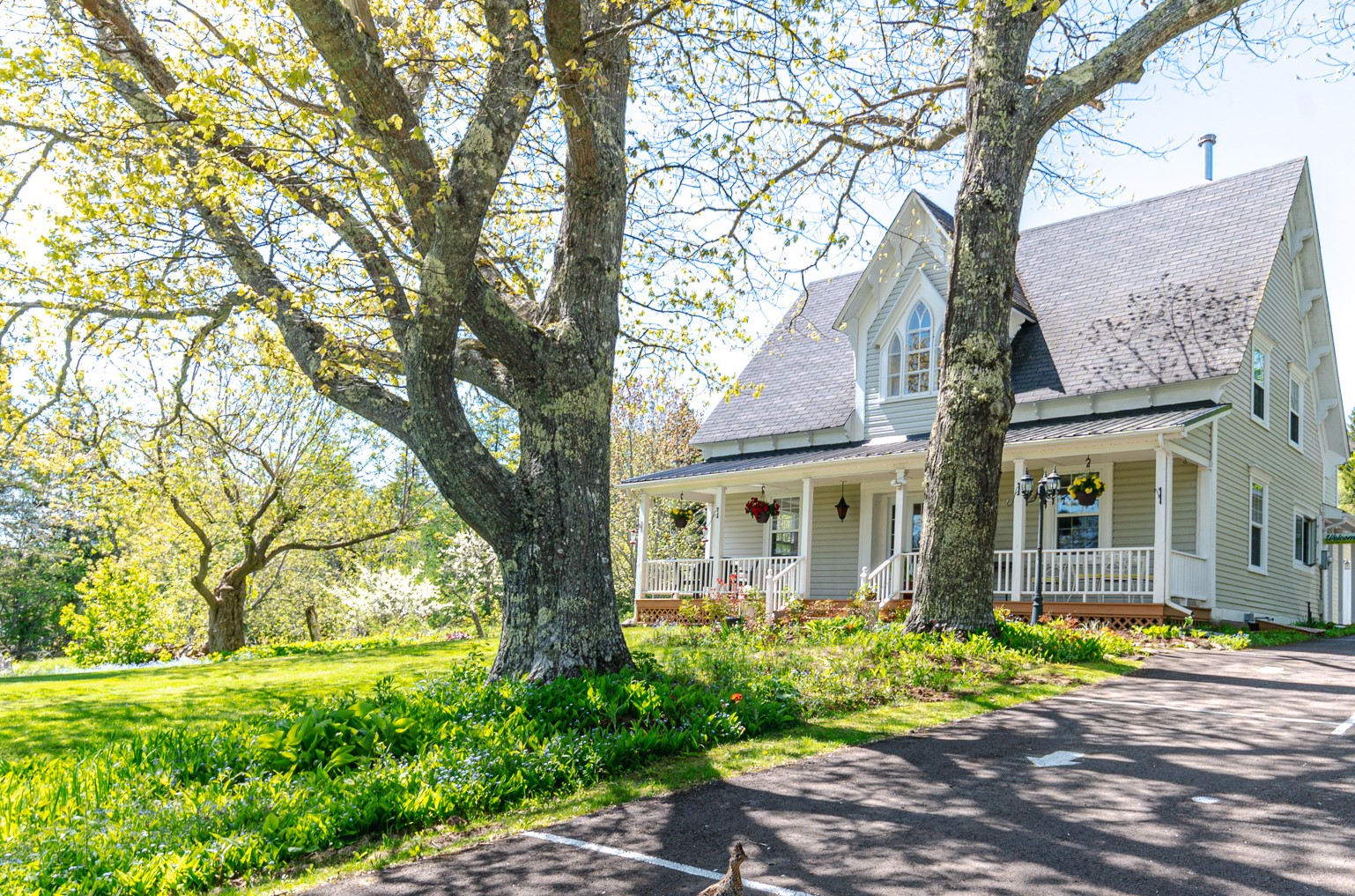 Innisfree Hopewell Rocks Bed & Breakfast / #ExploreNB / Tourism New ...