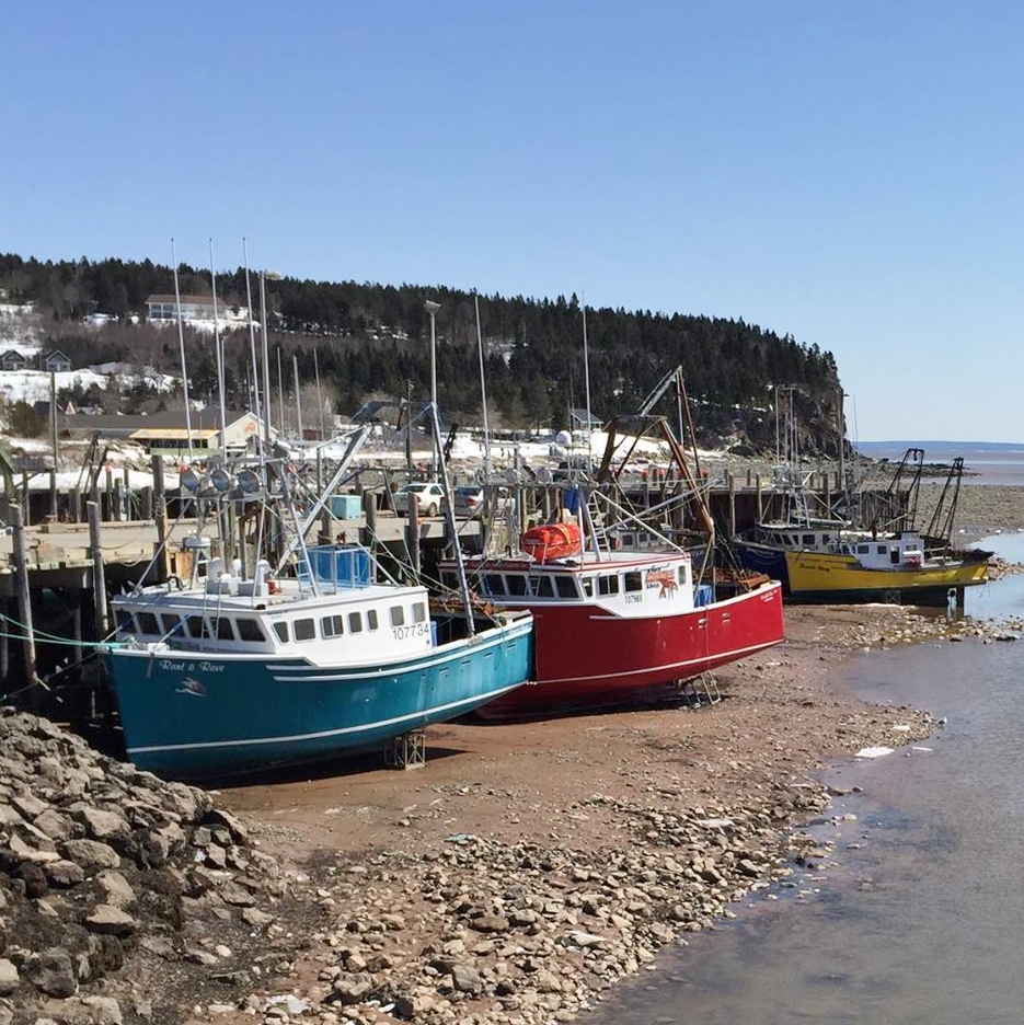 File:Bay of Fundy - Tide In.jpg - Wikimedia Commons