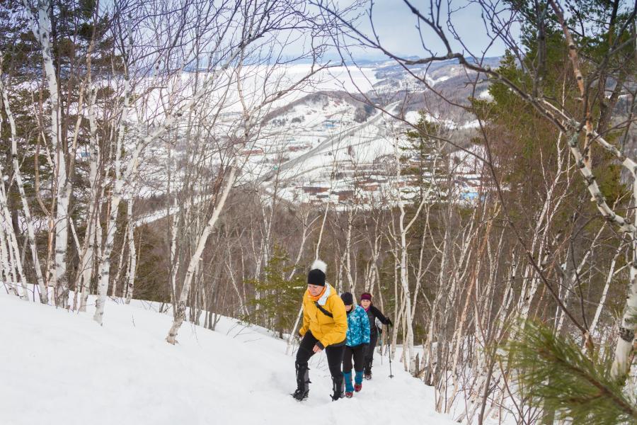 Hiking up Mount Sugarloaf in the winter