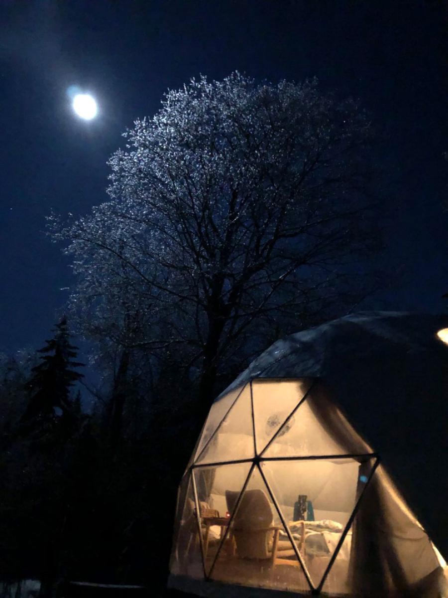 Stargazing in a dream dome at Ridgeback Lodge