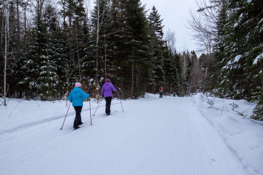 Trying out the ski trails at the Miramichi Cross Country Ski Club