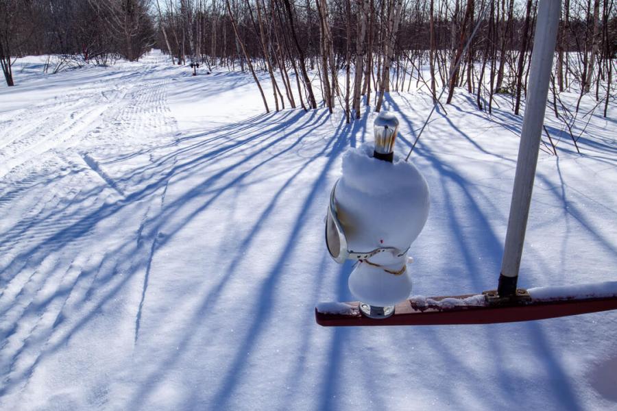 You never know what you will find on the Slippery Mittens Trails