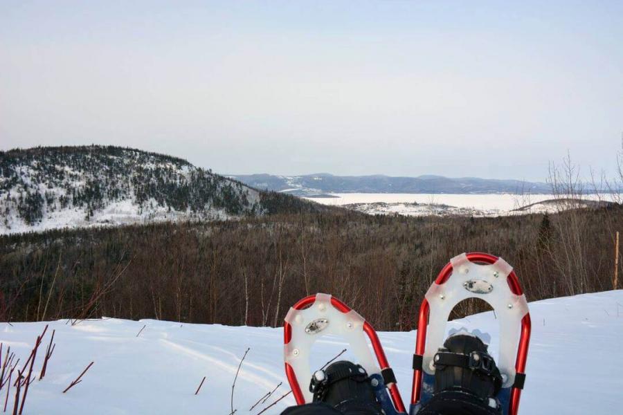 View of Mount Sugarloaf from the trails.