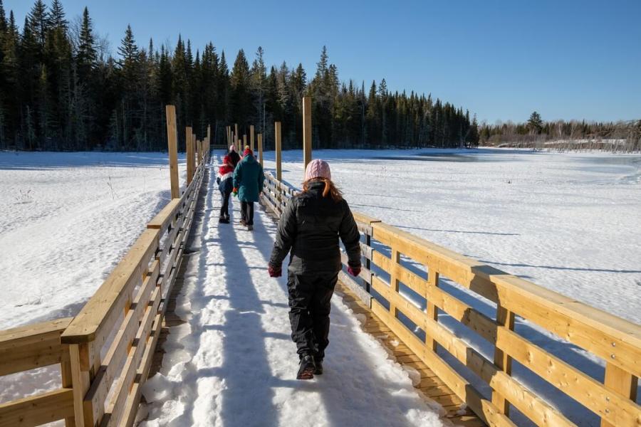 Crossing the old beaver dam at Mactaquac Park on a packed trail in spring.