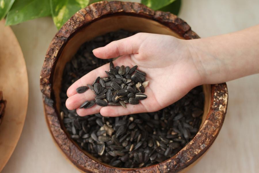 Chickadee Sunflower Seeds