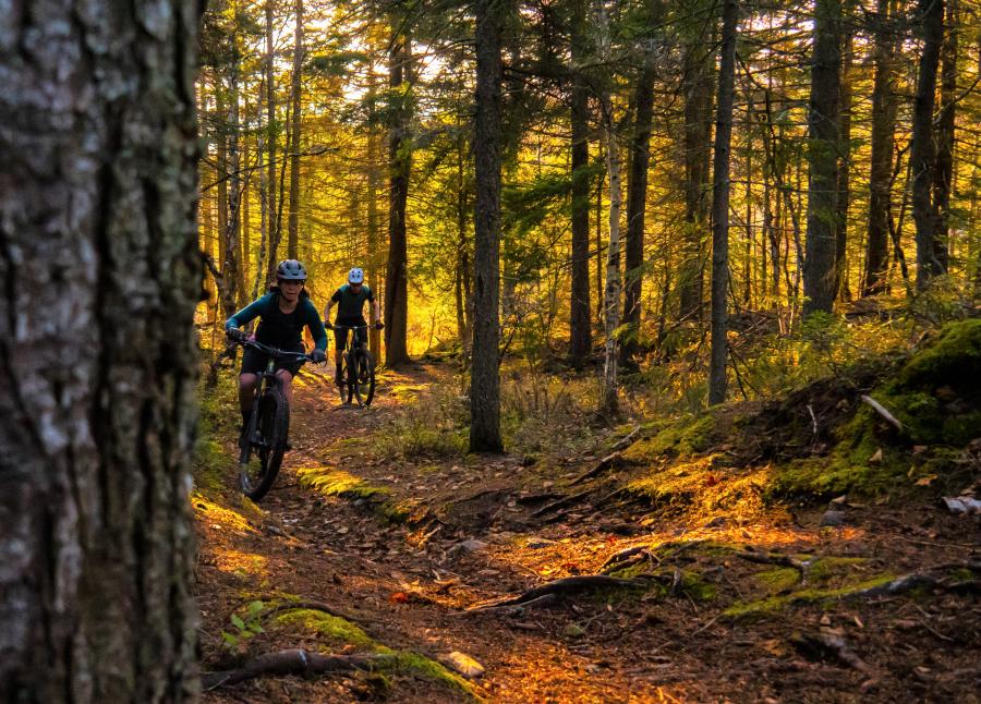 Mountain Biking in Rockwood Park, Saint John