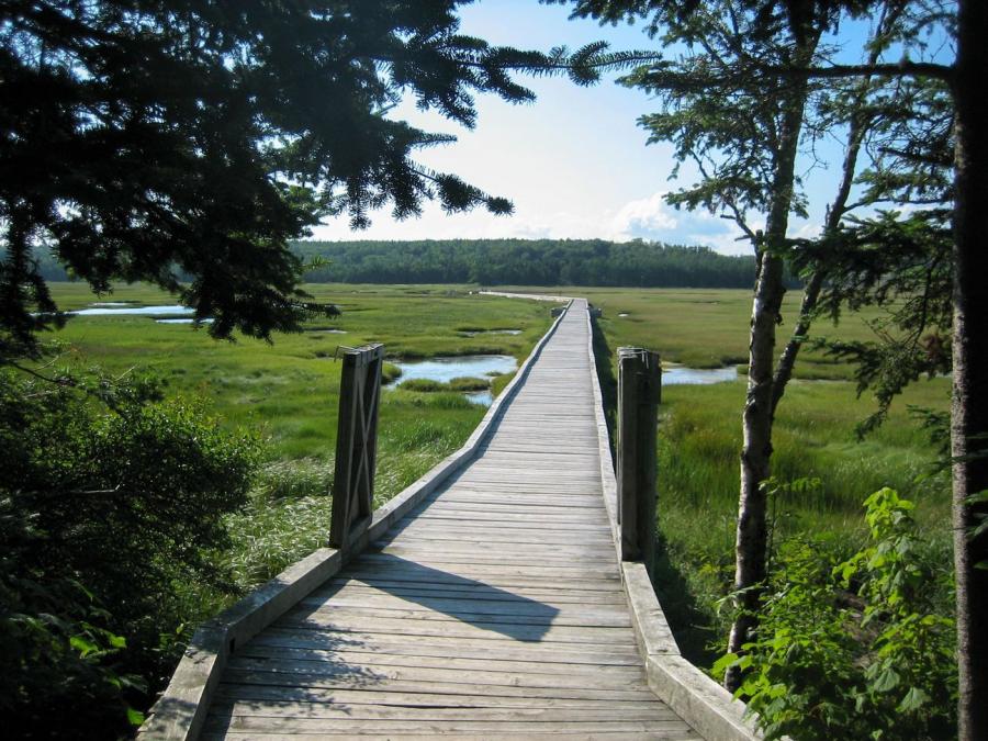 Boardwalk on the marshes at Irving Nature Park, Saint John