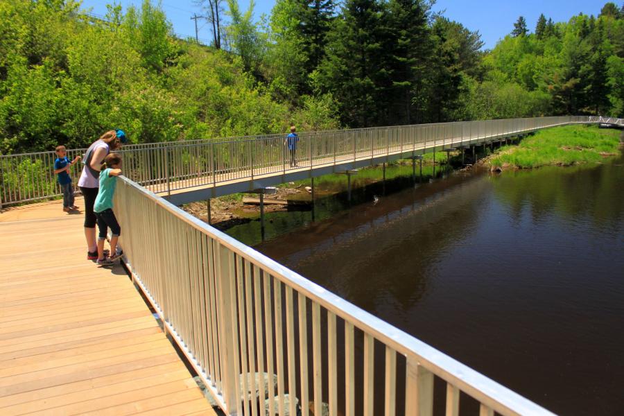 French Fort Cove Trail, City of Miramichi