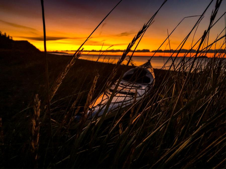 Irving Nature Park, Saint John