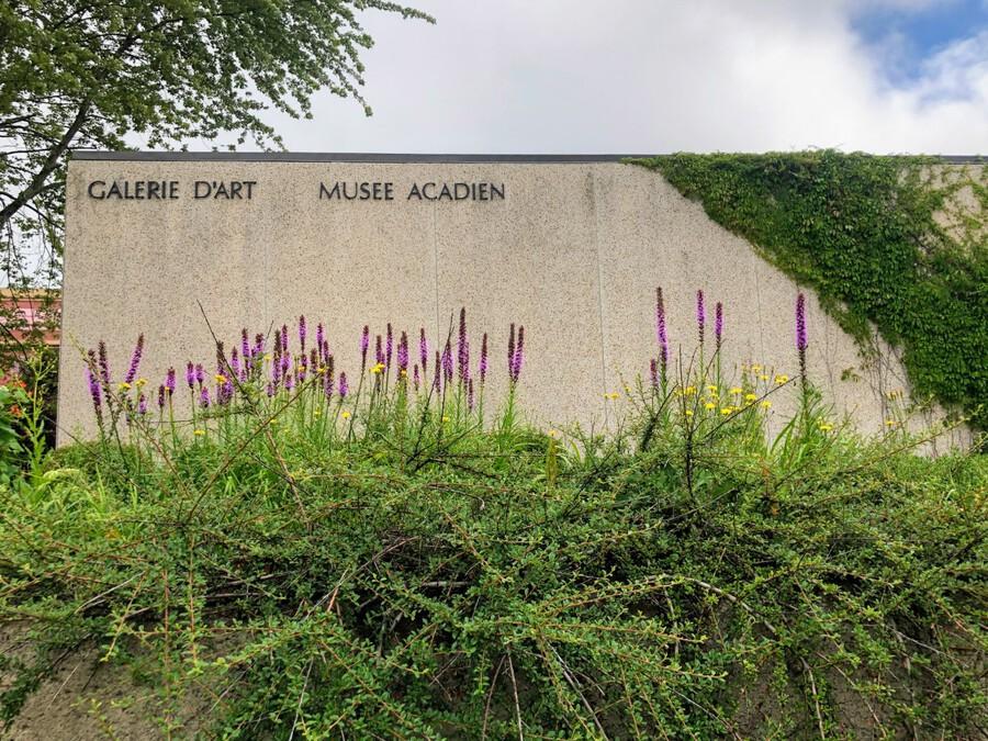 Galerie d’art Louise-et-Reuben-Cohen, Université de Moncton