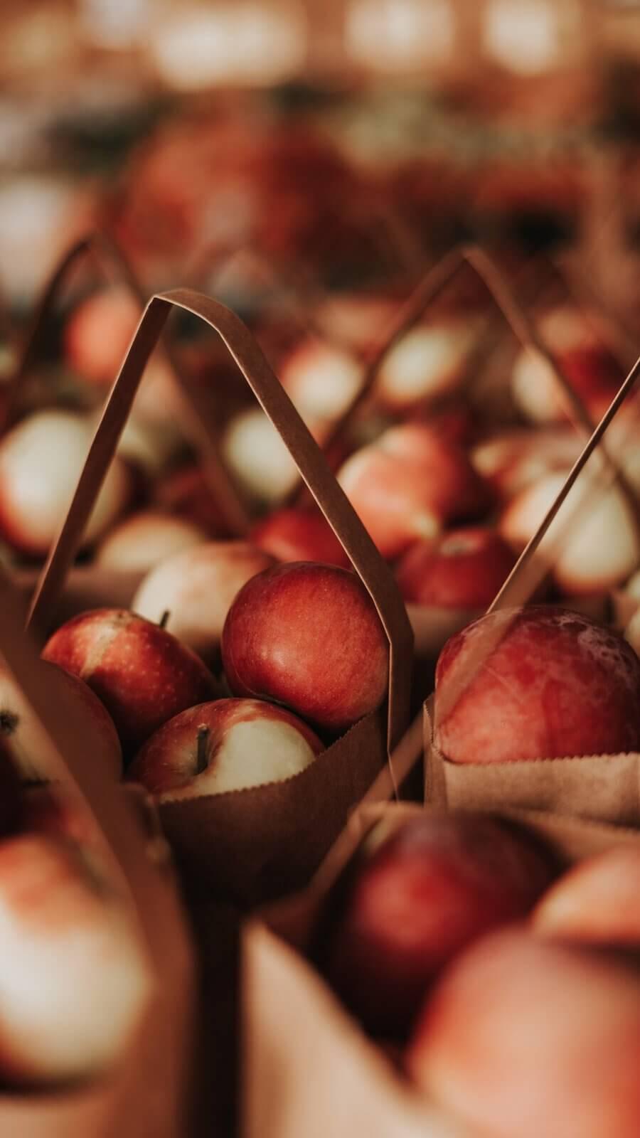 Apple bounty at the country markets