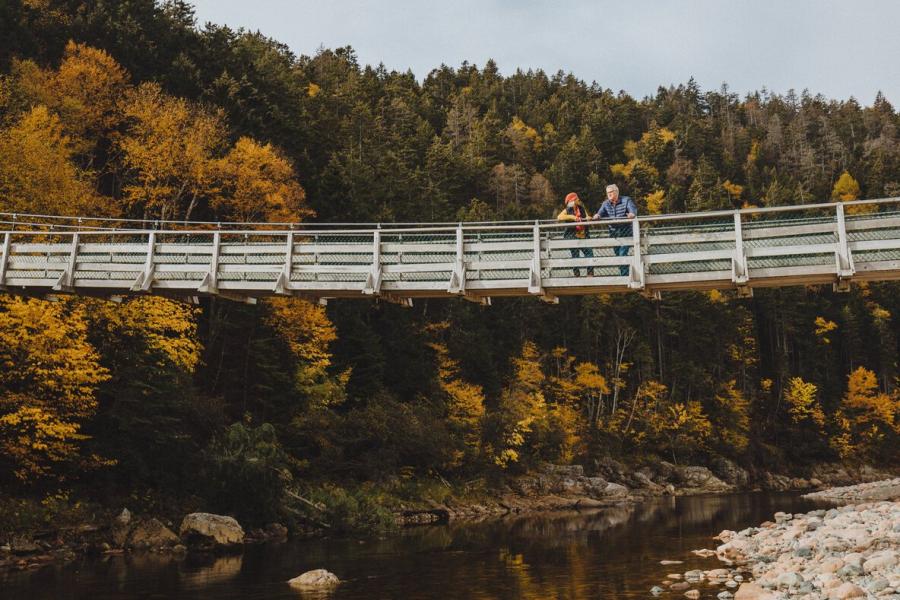 Fundy Trail Parkway suspension footbridge