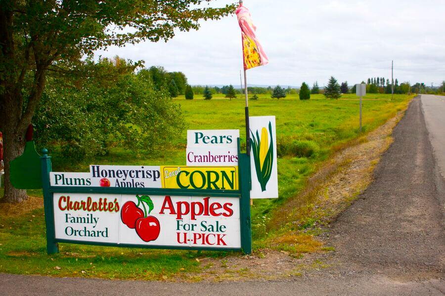 Charlotte’s Family Orchard U-Pick and Farm Market, Gagetown