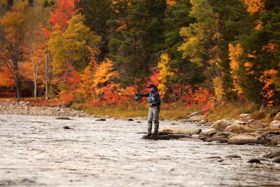 Fall fishing on the Miramichi River Miramichi River Valley