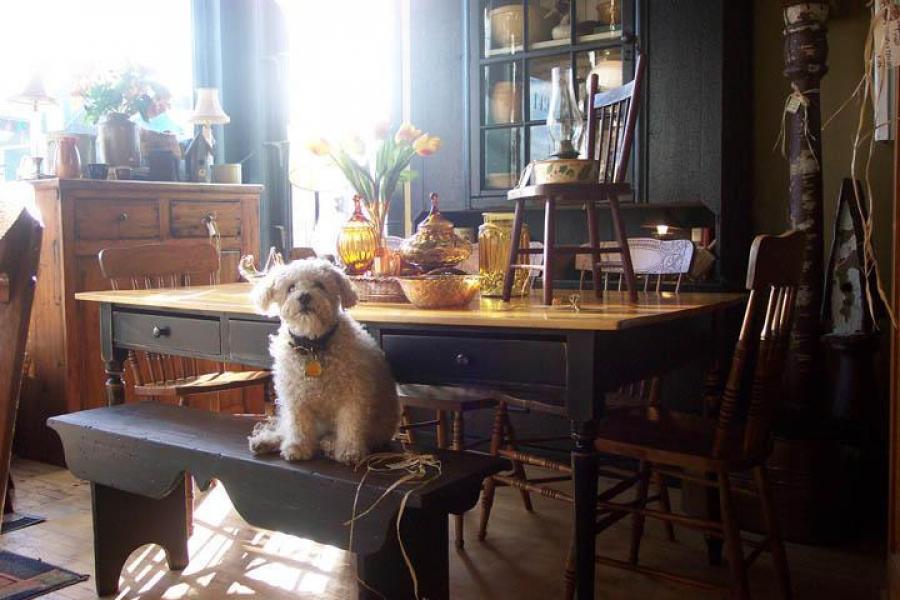 Boutique Recycl’Art & Antiques, Moncton, New Brunswick
