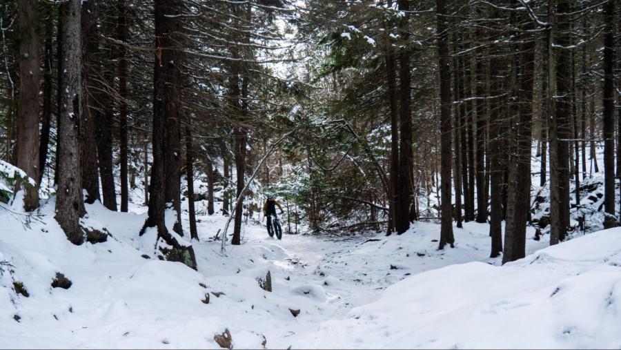 Fat bike winter, New Brunswick, Canada