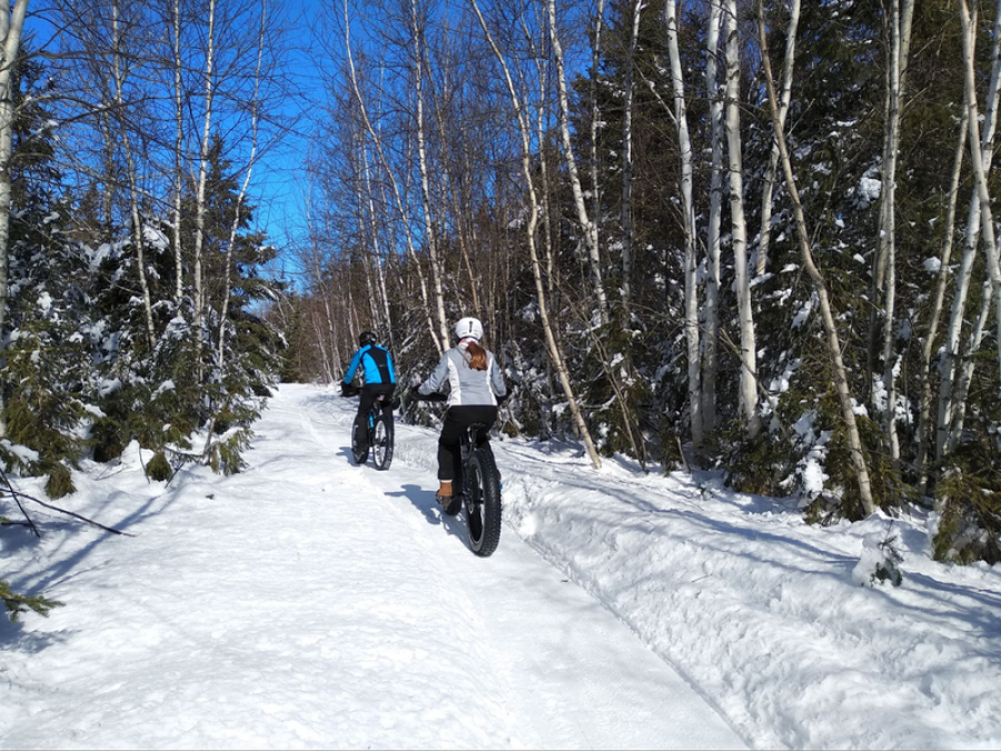 Fat bike winter, New Brunswick, Canada