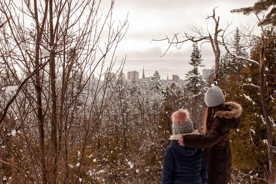 Winter view of Saint John from Rockwood City Park