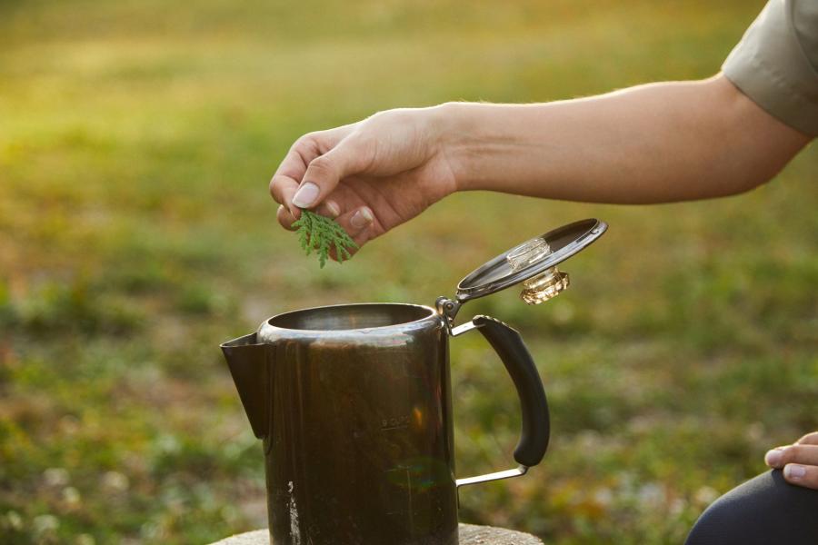 Mint Tea, Metepenagiag Heritage Park