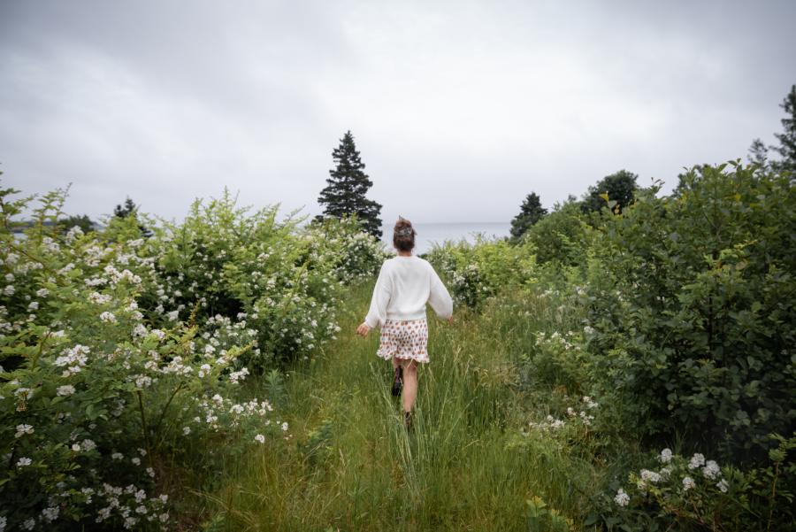 Field of Flowers on Grand Manan Island, New Brunswick