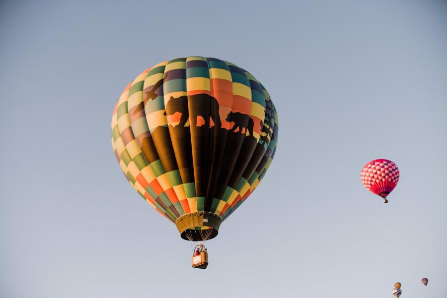 Atlantic Balloon Fiesta, Sussex