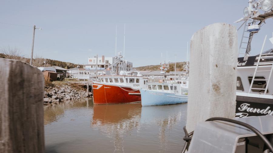 boats in alma