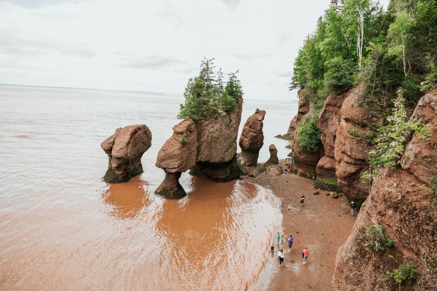 people walking beside the hopewell rocks