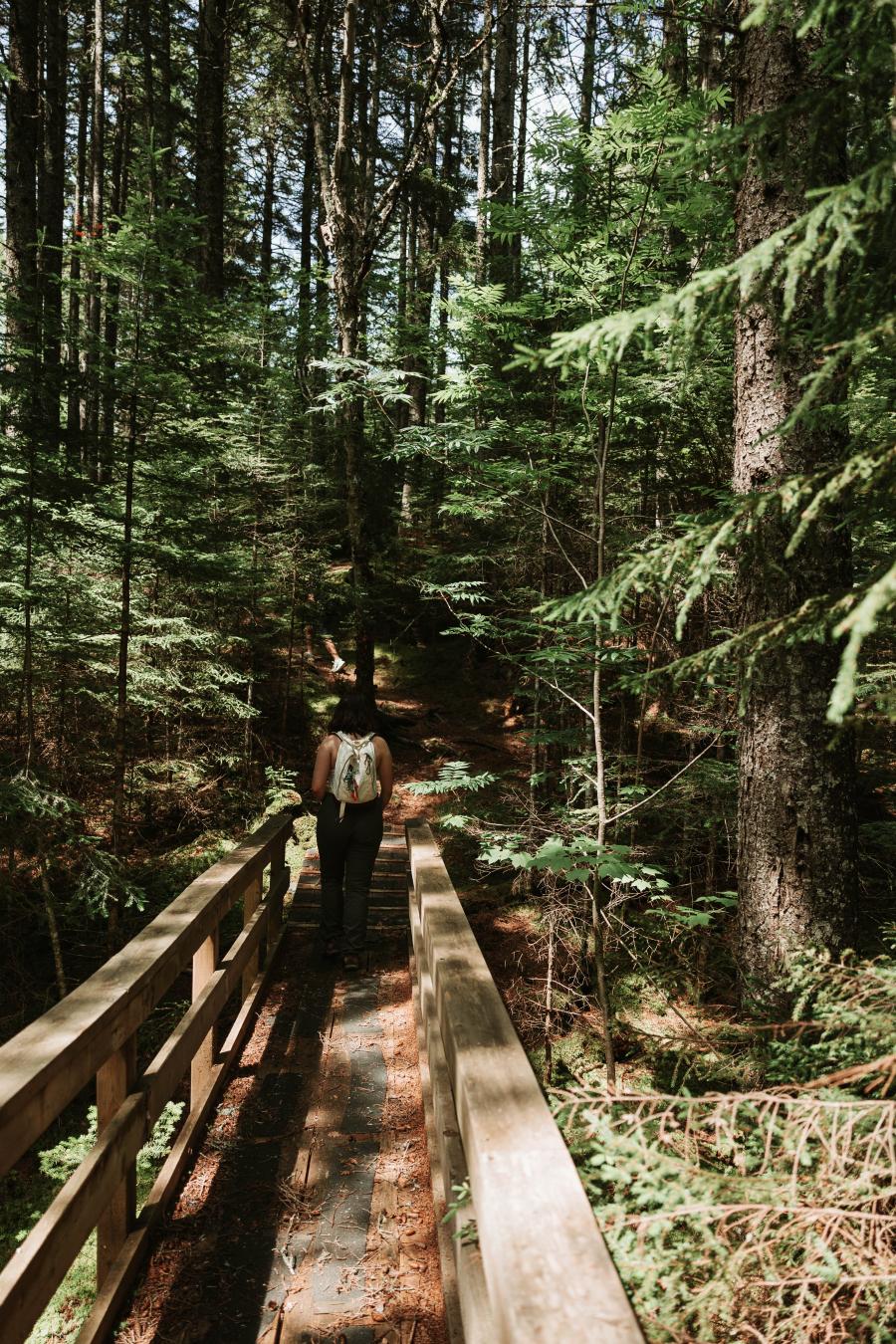 Herring Cove Provincial Park