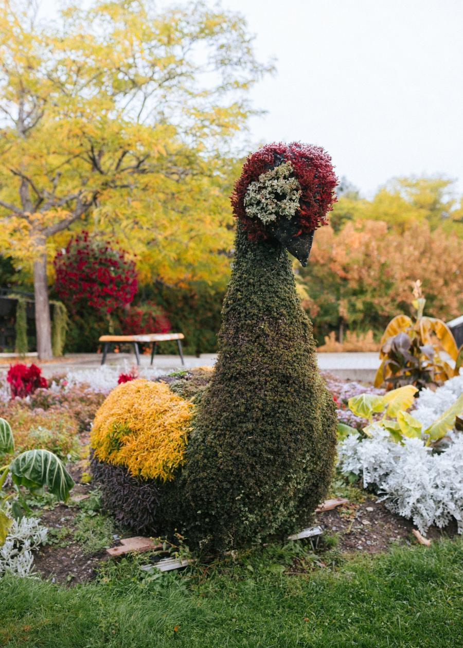New Brunswick Botanical Garden in the fall