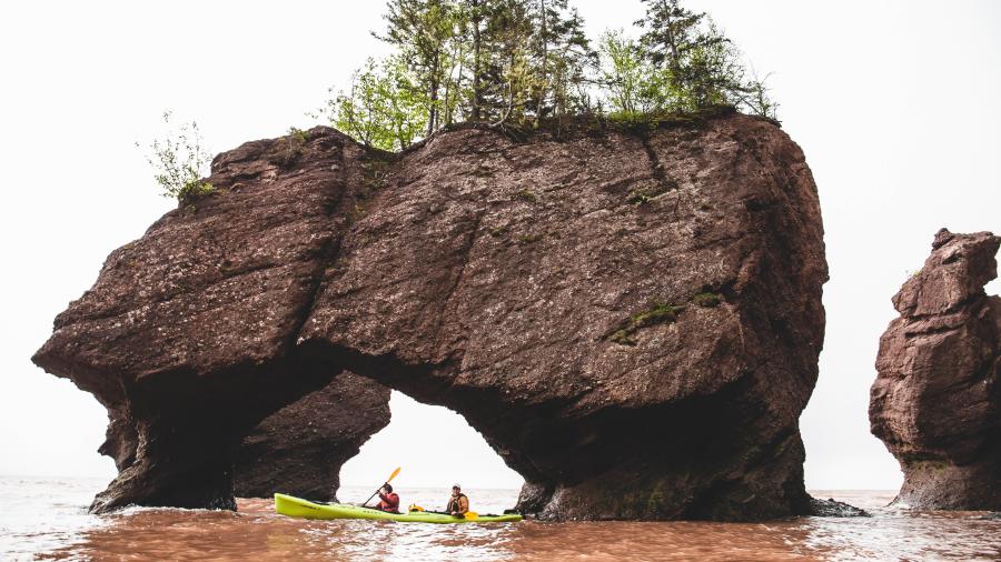 a canoe paddling at the hopewell rocks