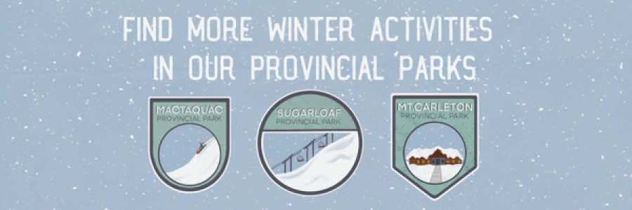 Winter Prov Parks banner