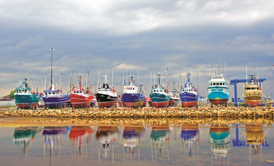 Iconic boats in Shippagan