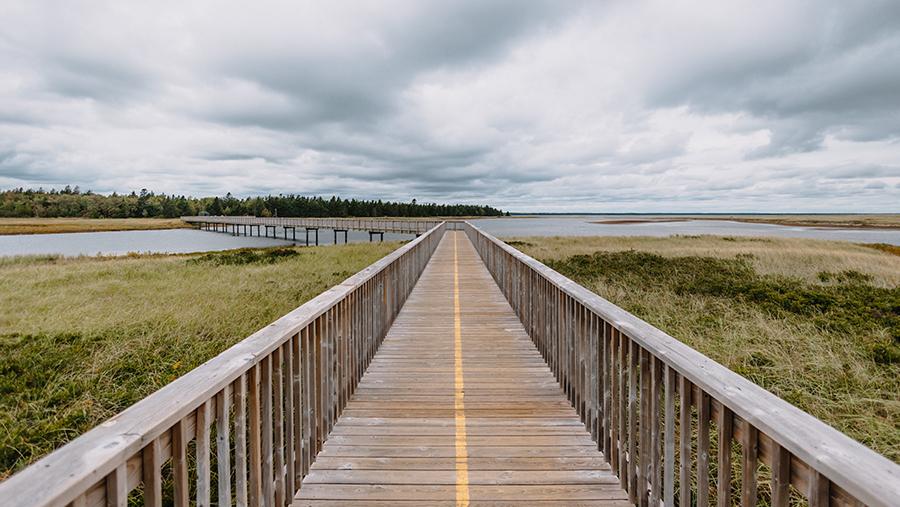 Kouchibouguac National Park