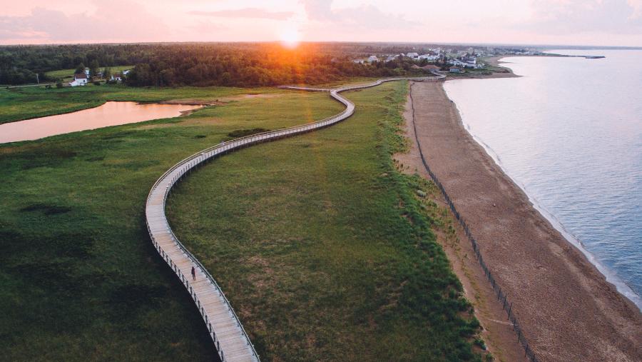 Bouctouche Dune