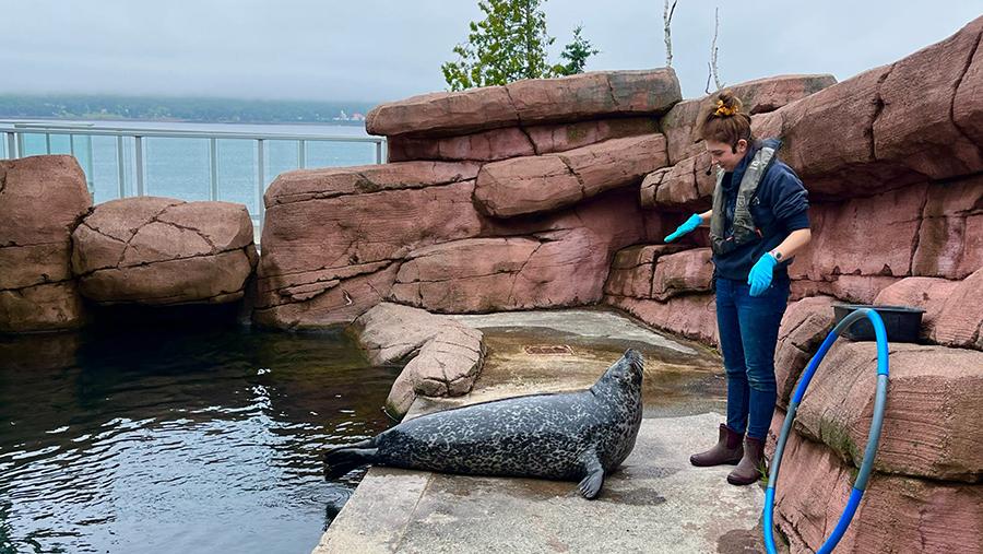 Fundy Discovery Aquarium, Saint Andrews