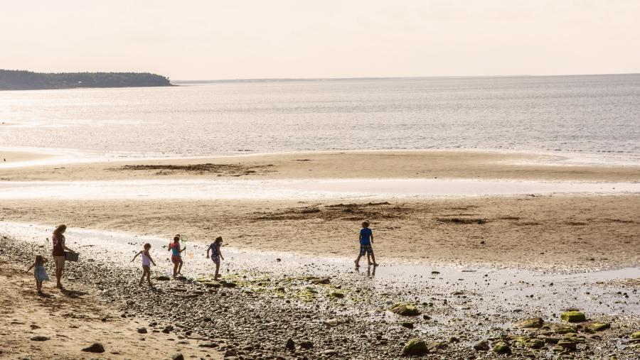 Murray Beach Provincial Park