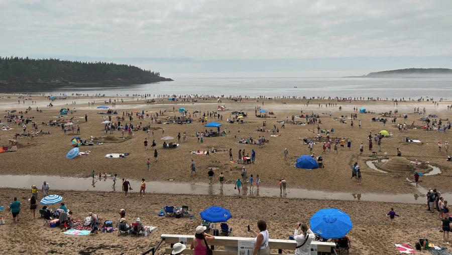 2023 Sand Sculpting Competition, New River Beach Provincial Park