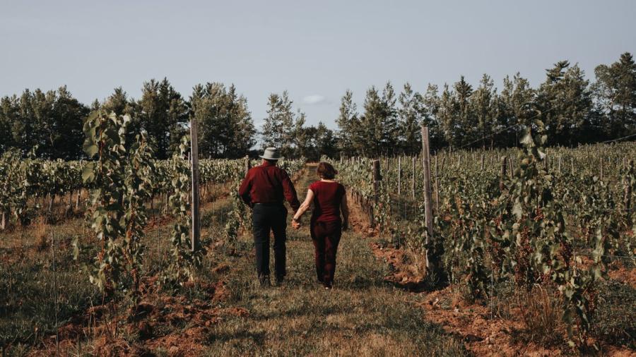 Domaine Latitude Winery