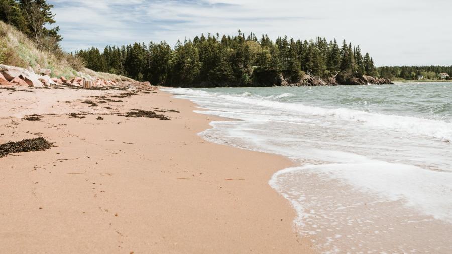 Quiet beach along a wooded shoreline at New River Beach Provincial Park