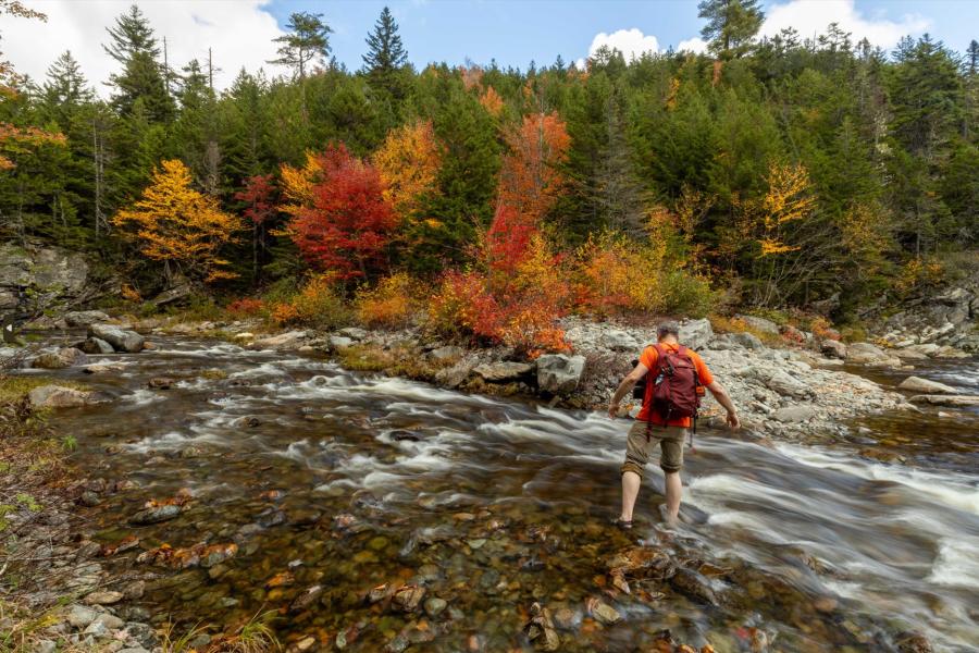 Bennett Brook Trail, Fundy National Park - Fall - James Donald