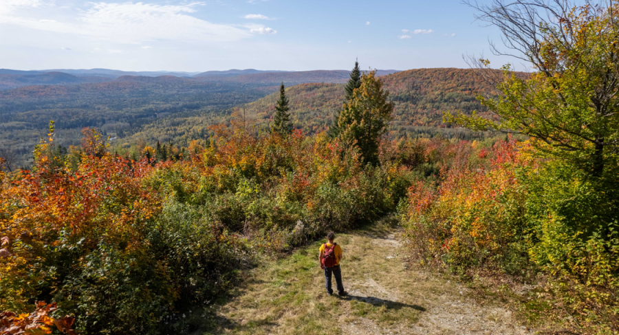 Méruimticook Trail - Hiking NB