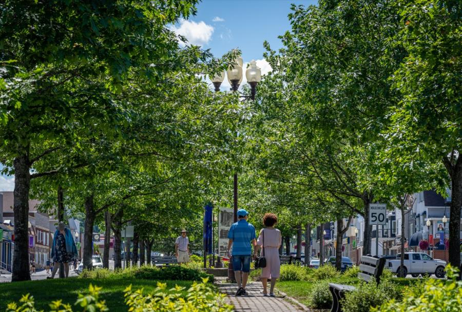 Centre-ville de Grand-Sault - Downtown Grand Falls