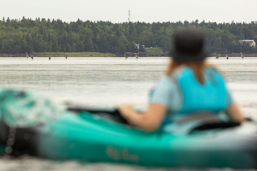 Kouchibouguac Lagoon - Paddling NB, James Donald