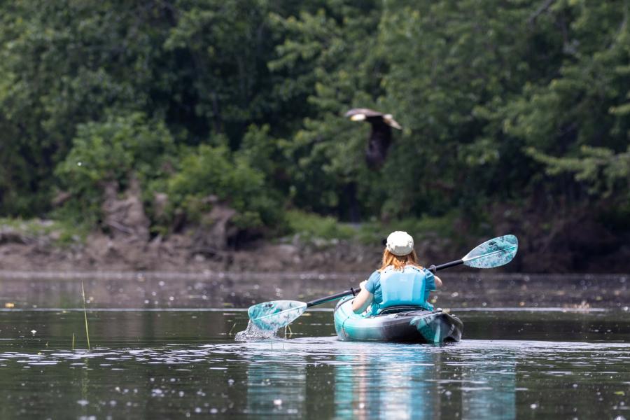 Wolastoq River near Fredericton - Paddling NB, James Donald