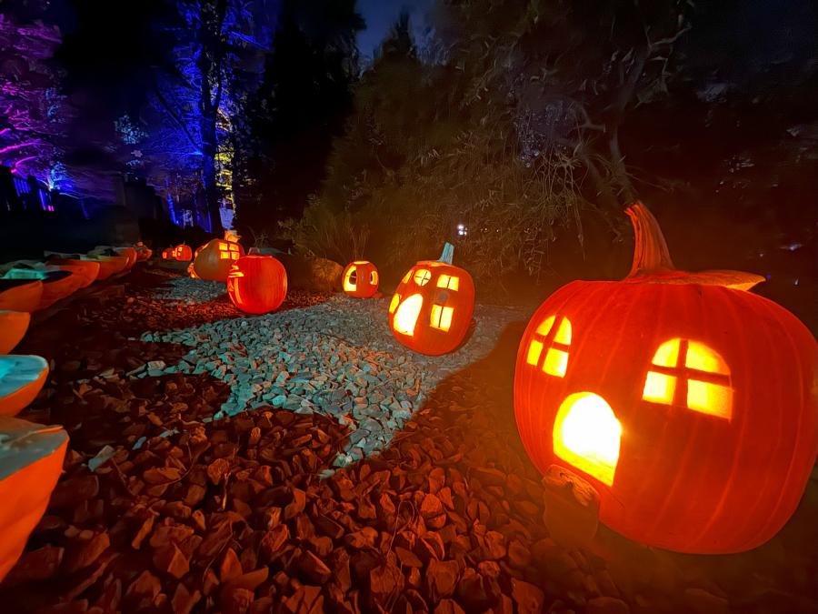 Grande Grouille Fall Festival, Edmundston