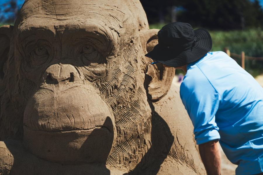 sand sculpting an ape on New River Beach
